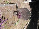 image of grave number 617672